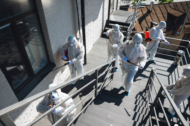 Best Mold Remediation for Healthcare Facilities  in Eyota, MN
