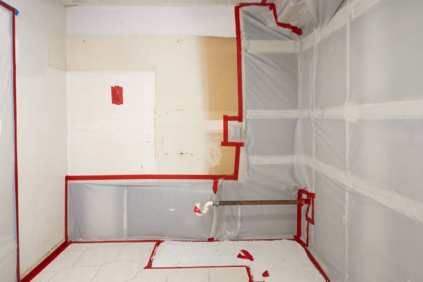 Best Air Quality Testing for Mold Spores  in Eyota, MN