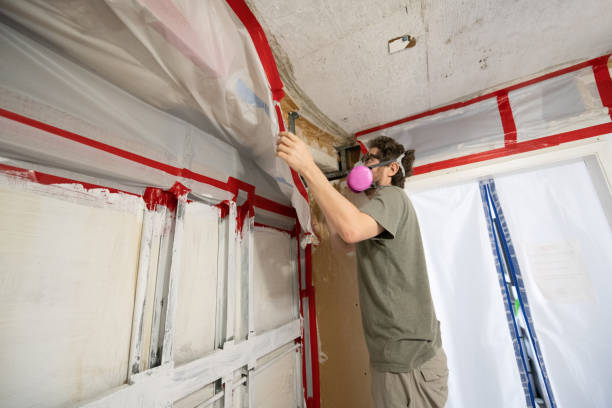 Best Commercial Mold Inspection  in Eyota, MN