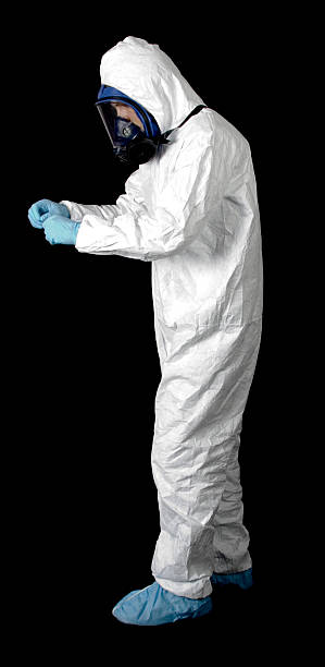 Professional Mold Removal in Eyota, MN