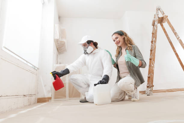 Best Water Damage & Mold Remediation  in Eyota, MN